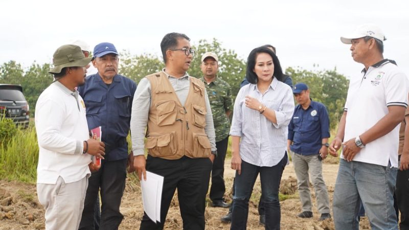 Polman jadi Lokasi Pengembangan Benih Induk Hortikultura di Sulbar