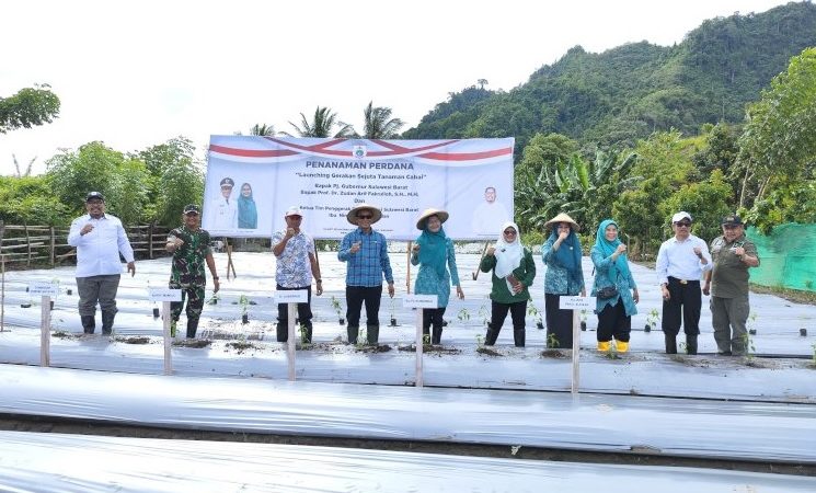 Pemprov Sulbar Launching Gerakan Sejuta Tanam Cabai
