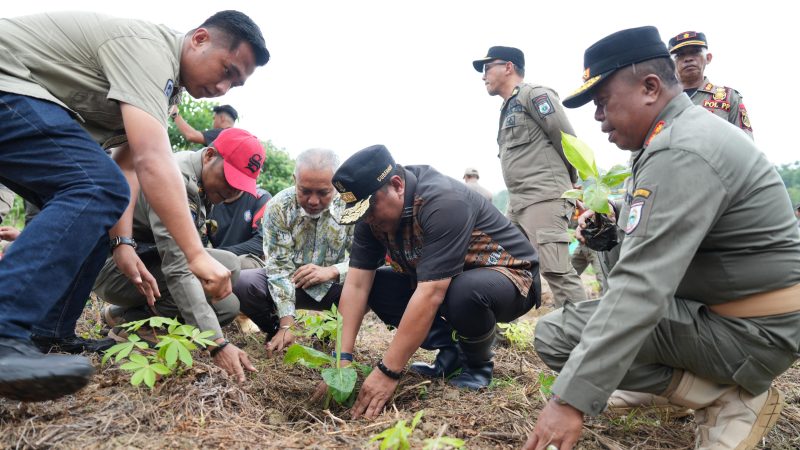 Lahan Kosong di Pemprov Sulbar Dimanfaatkan untuk Tanam Pisang oleh Pj Bahtiar