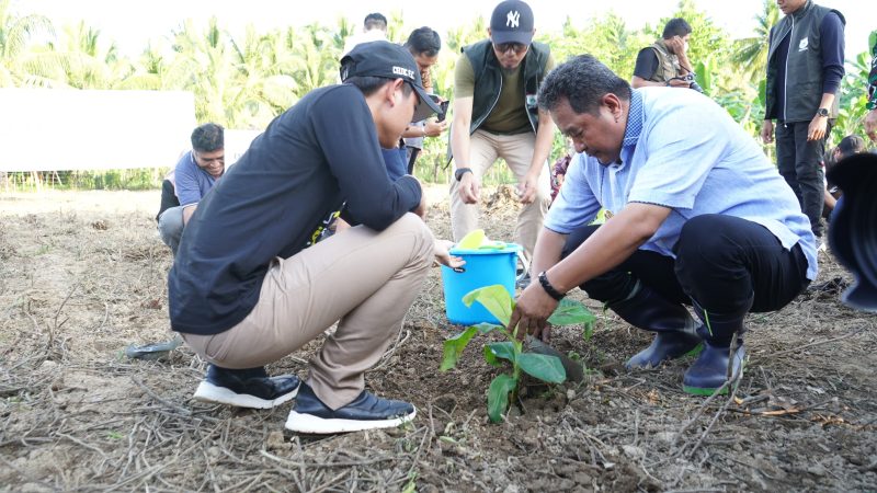 Cara Pemprov Sulbar Peringati Hari Lingkungan Hidup Sedunia Melalui Tanam Pohon Serempak