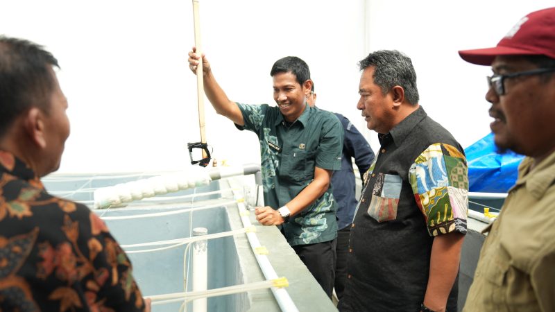 Pj Gubernur Sulbar Kunjungi UPTD BBIP Poniang