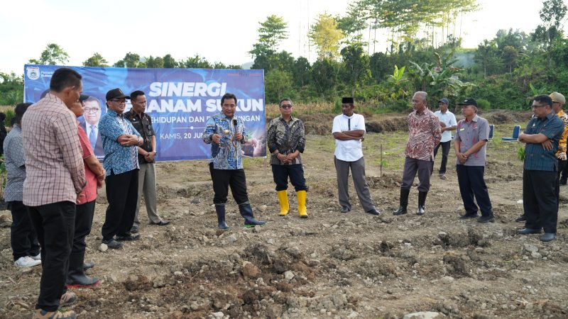 2 Hektare Lahan Dijadikan Pemprov Sulbar Sentra Pembibitan Komoditi Pangan