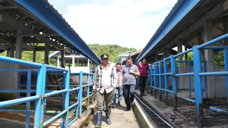 Bentuk Dinas Peternakan, Pemprov dan DPRD Sulbar Capai Satu Kesepahaman