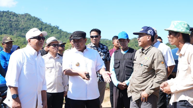 Berkunjung ke Kawasan Nenas Barru, Pj Gubernur Yakin Sulbar Bisa Mandiri di Bidang Hortikultura