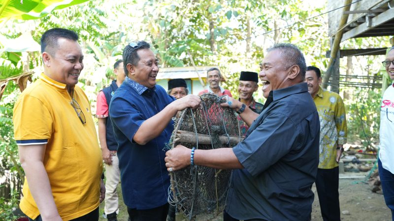 Pj Bahtiar Akan Mendorong Ekosistem Bisnis Jenis Ikan Sidat di Sulbar