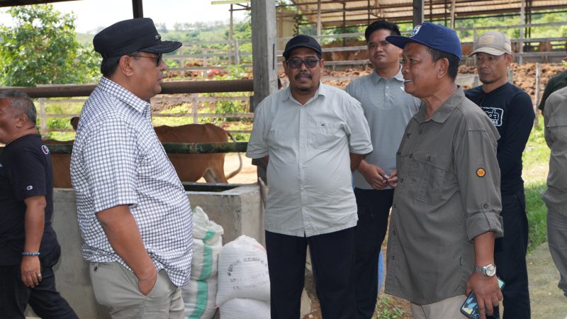 UPT Beroangin Polman Akan Jadikan Pusat Peternakan Modern di Sulbar