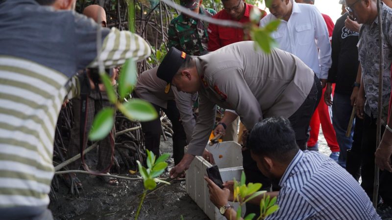 Dorong Pelestarian Magrove, Kapolda Sulbar Hadiri Pelepasan Ribuan Anak Kepiting