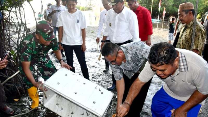 Dorong Sulbar Penghasil Kepiting, Pj Bahtiar Tebar Benih di Hutan Bakau
