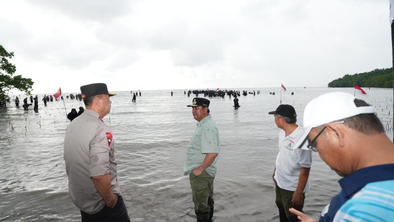 Pj Bahtiar dan Forkopimda Sulbar Tanam 20 Ribu Mangrove Bersama Masyarakat