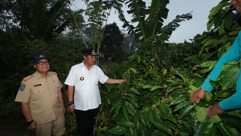 Saat Menanam Pohon di Majene, Pj Bahtiar Bocorkan Akan Anggarkan 1 Juta Bibit Durian
