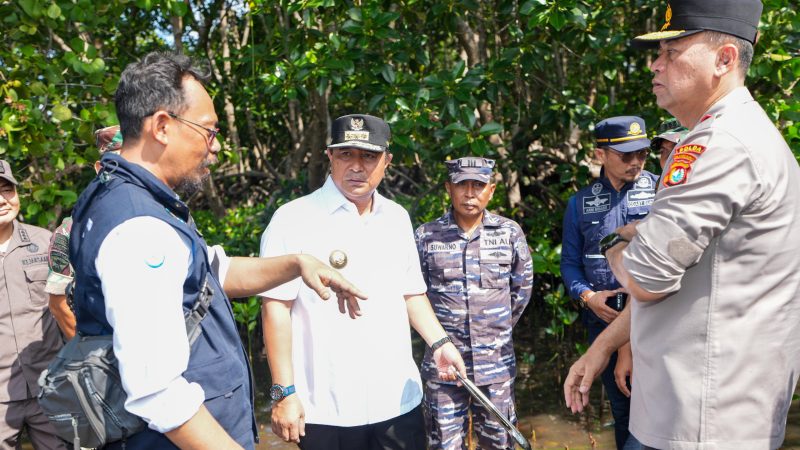 Jelang Hari Jadi Sulbar ke-20, Masyarakat Diimbau Sepekan Menanam Mangrove