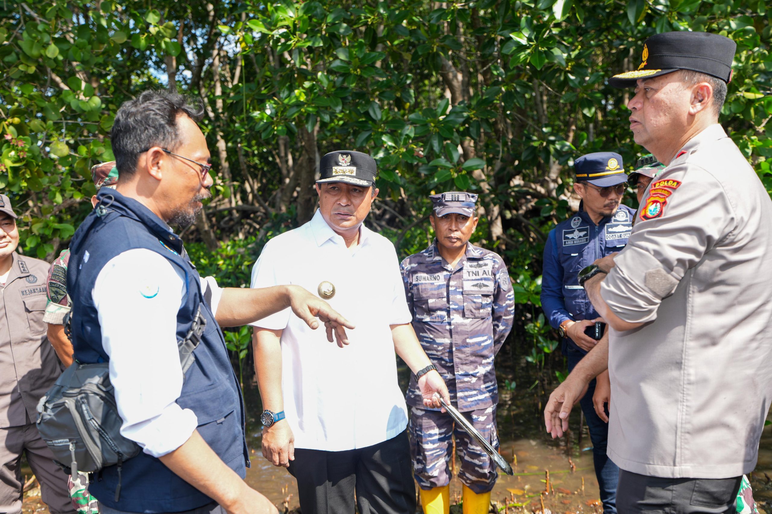 Jelang Hari Jadi Sulbar ke-20, Masyarakat Diimbau Sepekan Menanam Mangrove