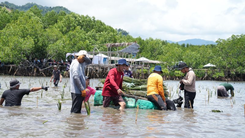 Semua Pihak Terlibat Sepekan Menanam Mangrove, PJ Bahtiar, Terima Kasih dan Ini Perlu Berkelanjutan