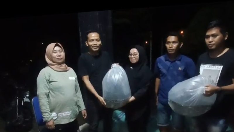 Pemprov Sulbar Bagikan 200.000 Bibit Ikan Nila