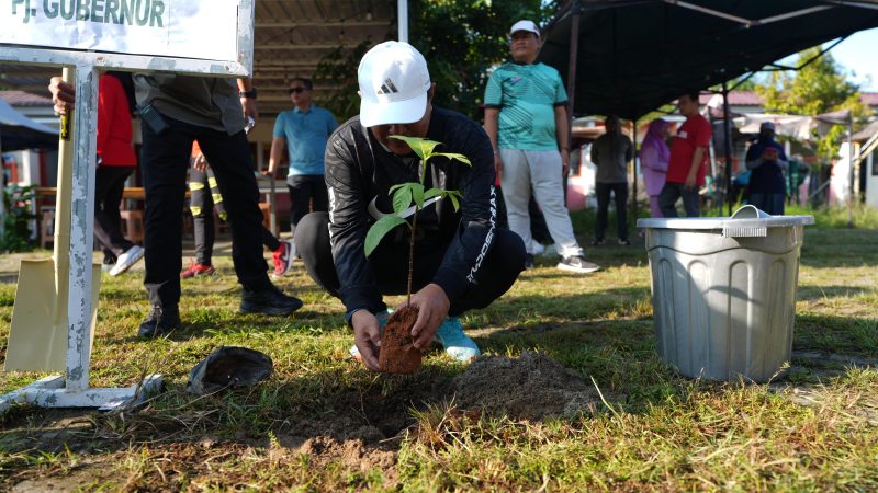 Pj Bahtiar Ajak Masyatakat Sulbar Tanam Pohon Berbasis Ketahanan Pangan