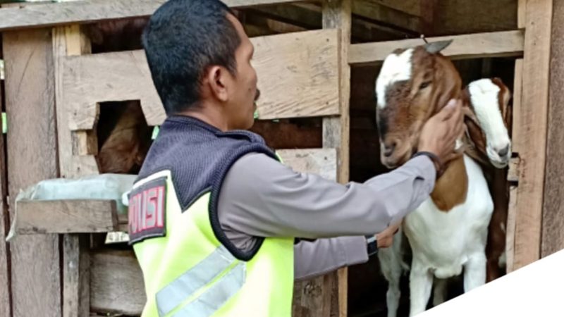 Carita IPDA Ismail, Jual Kambing untuk Bantu Warga