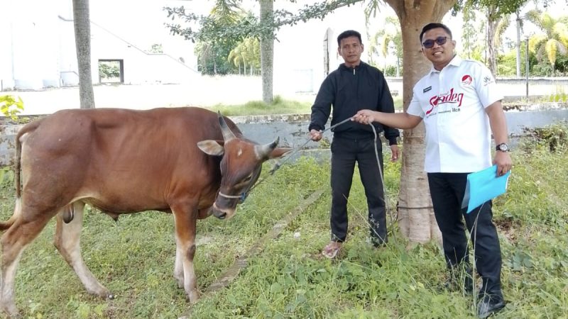 Idul Adha, Inspektorat Sulbar Ikut Berkurban dan Disalurkan ke Daerah Terdampak Stunting