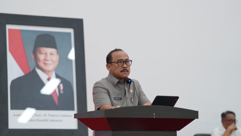 8 Poin Alasan SDK Koreksi APBD 2025, Perkuat Pemerintahan Desa dan Rasionalkan Target PAD