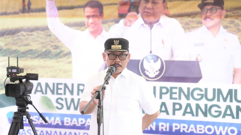 Presiden Umumkan Swasembada Pangan, Sulbar Catat Surplus Beras Hampir 70 Ribu Ton