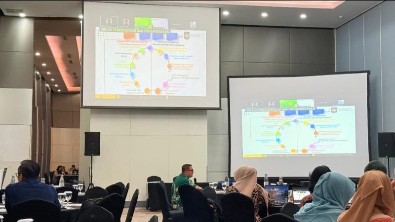 Sulbar Perkuat Tata Kelola Program Kesehatan 2026 Lewat Pendampingan Kemenkes