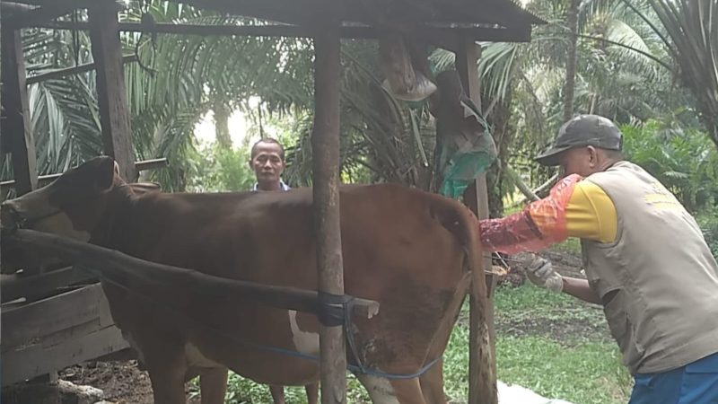 Pelayanan IB Tetap Berjalan Selama Bulan Ramadan di Sulawesi Barat