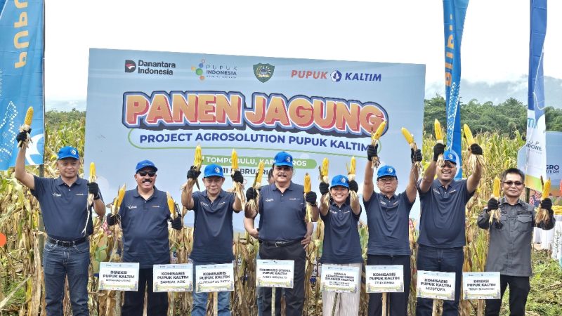 Optimalkan Produktivitas Pertanian, Agrosolution Pupuk Kaltim Dongkrak Produksi Jagung Maros 140 Persen