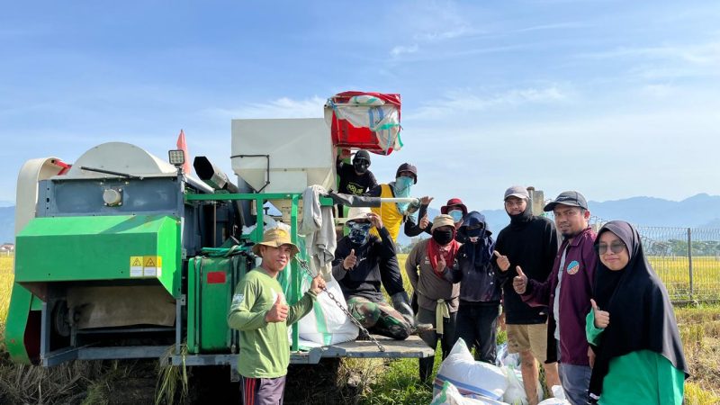 UPTD BBTPH Sulbar Mulai Panen Calon Benih Padi Inbrida Sawah di BBI Lantora, Targetkan 30 Ton Benih Berkualitas