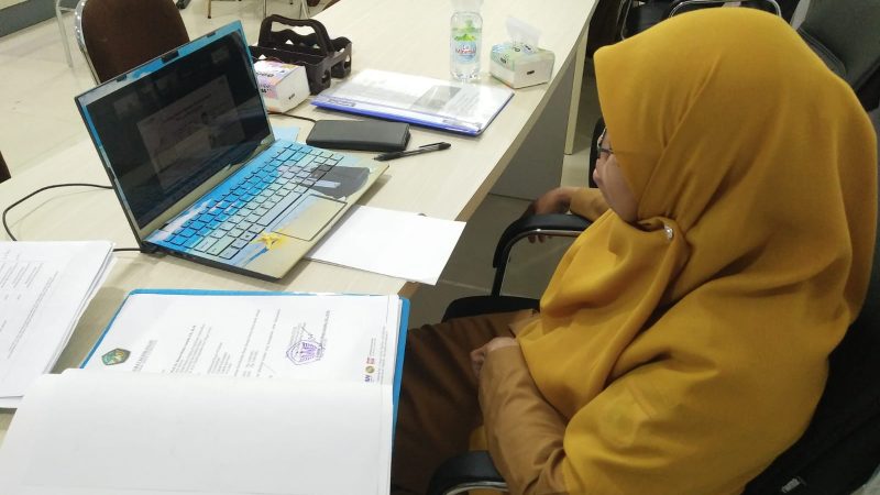 Perkuat Sinergi Pelayanan Kesehatan Jiwa, Biro Pemkesra Setda Sulbar Ikuti Sosialisasi Pembentukan TPKJM