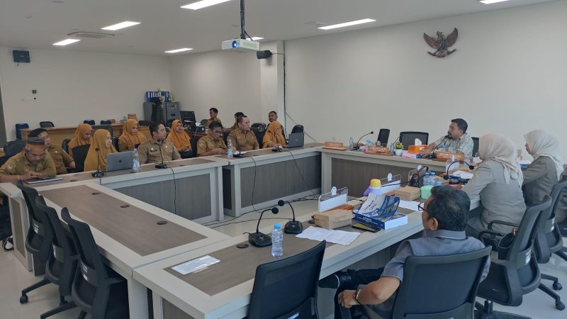 Perkuat Layanan Kesehatan, Bapperida Sinkronkan Kebutuhan RS Regional dengan DPRD