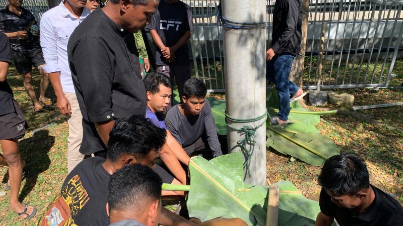 Hari Raya Idul Adha 1447 H, Lanal Mamuju Gelar Penyembelihan Hewan Kurban