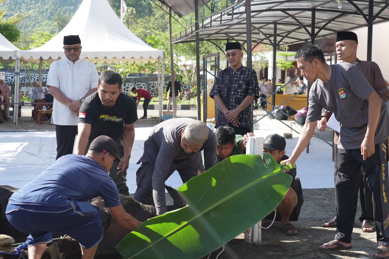 Wujud Kepedulian Sesama, Polda Sulawesi Barat Bagikan Ratusan Paket Daging Qurban
