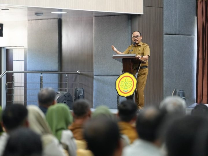 Gubernur Sulbar Targetkan Indeks Pertanaman Naik Jadi 2, Produksi Padi Dipacu Tanpa Cetak Sawah Besar-besaran