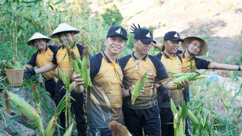 Kapolda Sulbar Pimpin Panen Jagung, Tegaskan Ketahanan Pangan Pilar Ketahanan Nasional
