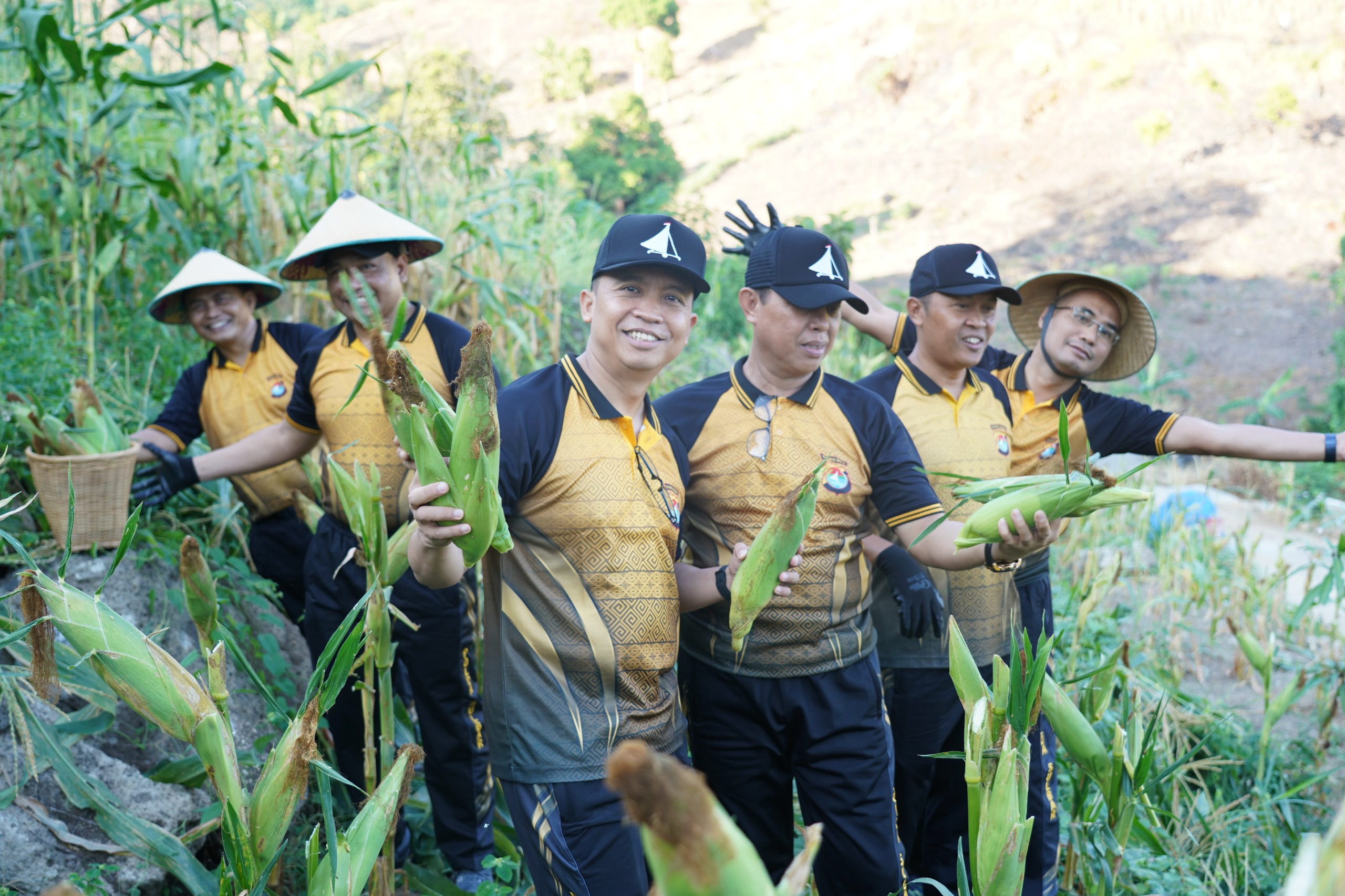 Kapolda Sulbar Pimpin Panen Jagung, Tegaskan Ketahanan Pangan Pilar Ketahanan Nasional