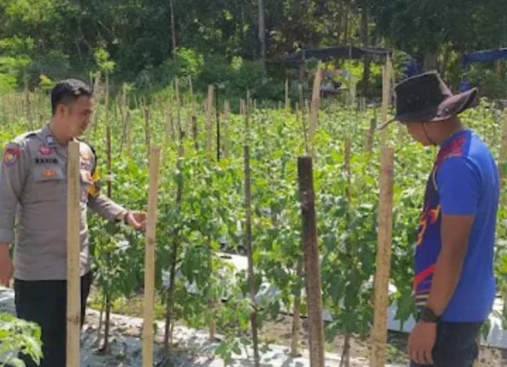 Polda Sulbar Perkuat Pendampingan Petani untuk Dukung Swasembada Pangan Nasional