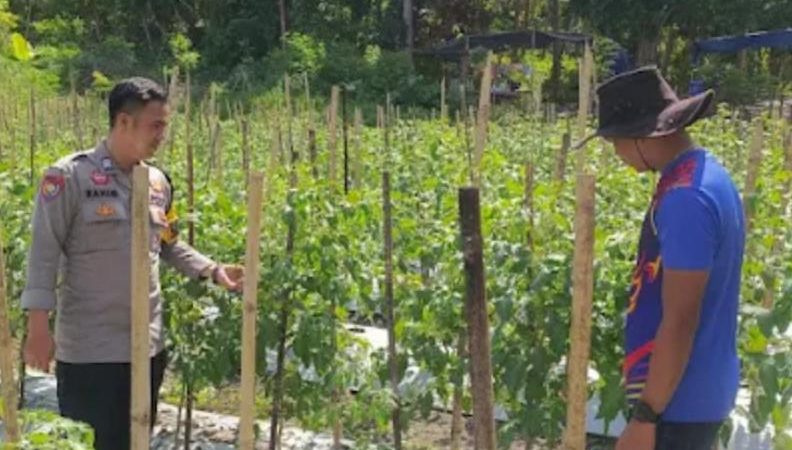 Polda Sulbar Perkuat Pendampingan Petani untuk Dukung Swasembada Pangan Nasional