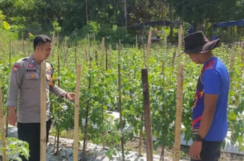 Polda Sulbar Perkuat Pendampingan Petani untuk Dukung Swasembada Pangan Nasional
