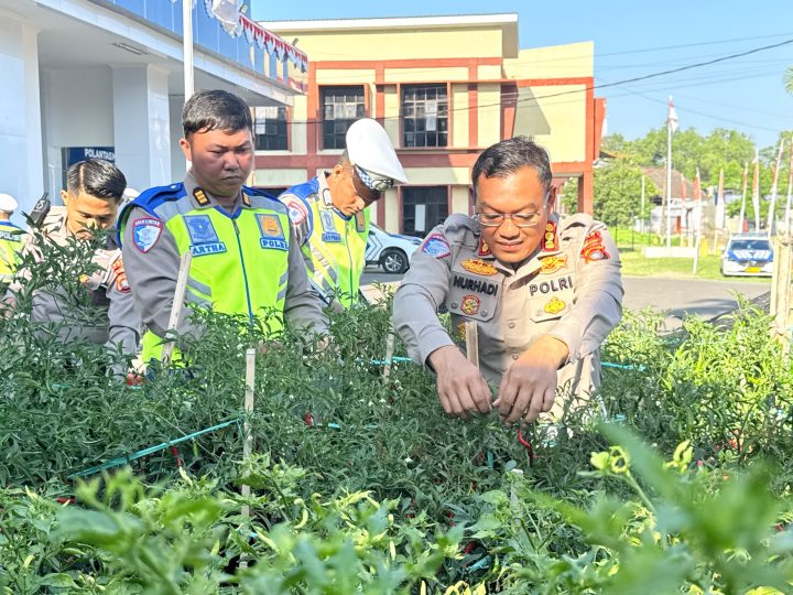 Dari Kebun untuk Masyarakat, Ditlantas Polda Sulbar Wujudkan Ketahanan Pangan