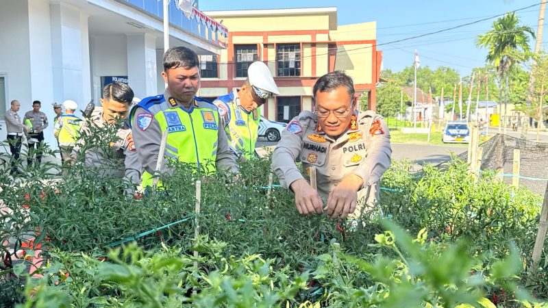 Dari Kebun untuk Masyarakat, Ditlantas Polda Sulbar Wujudkan Ketahanan Pangan