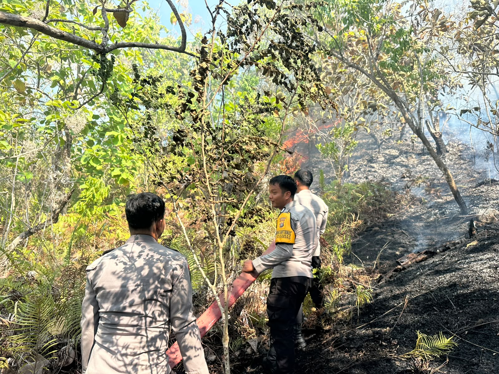 Polresta Mamuju Bersama TNI-Pemda Sigap Padamkan Karhutla di Desa Sumare