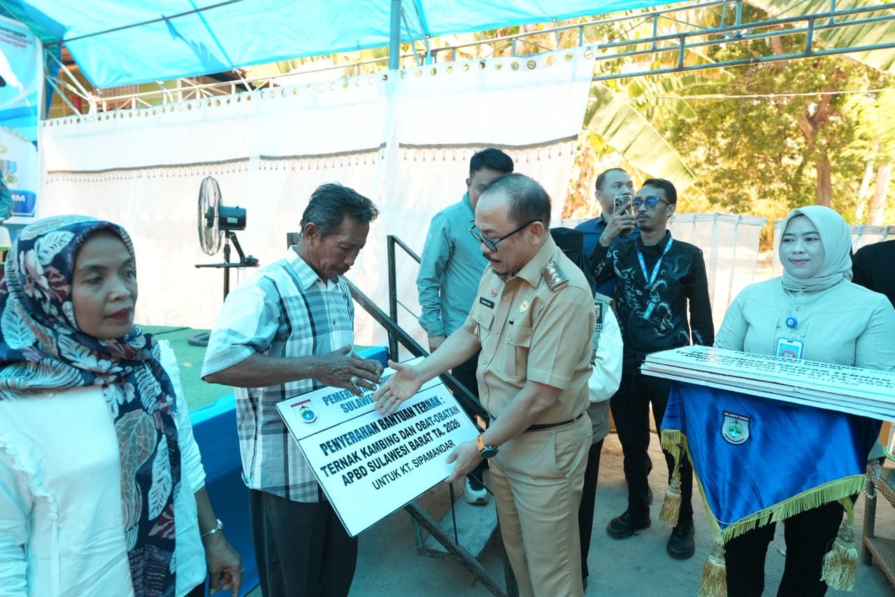 Perkuat Ekonomi Peternak, Gubernur Suhardi Duka Salurkan Bantuan Ternak di Majene