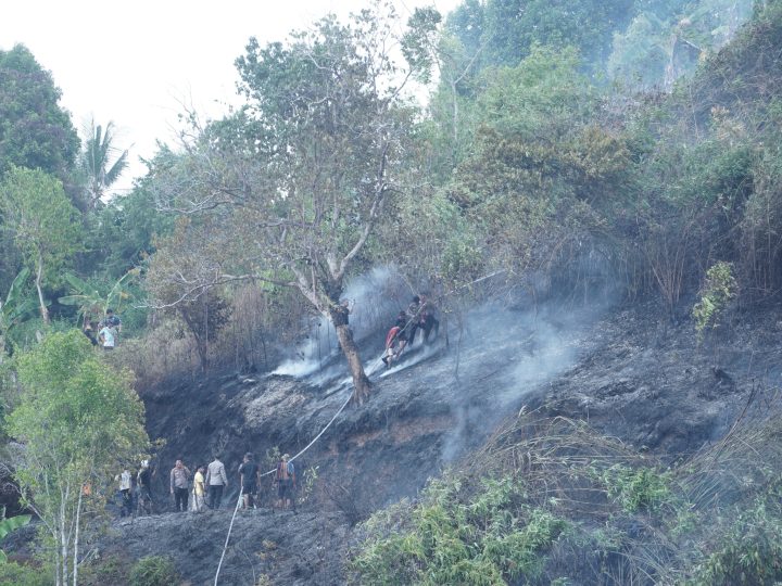 Polda Sulbar Gerak Cepat Padamkan Amukan Sijago Merah saat Kebun Warga di Bukit Kalubibing Terbakar