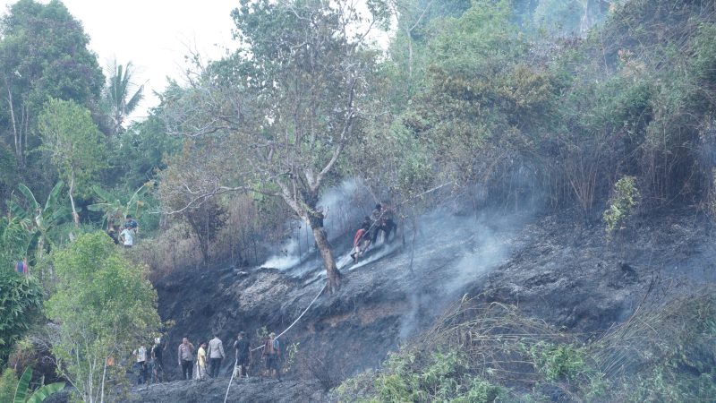 Polda Sulbar Gerak Cepat Padamkan Amukan Sijago Merah saat Kebun Warga di Bukit Kalubibing Terbakar