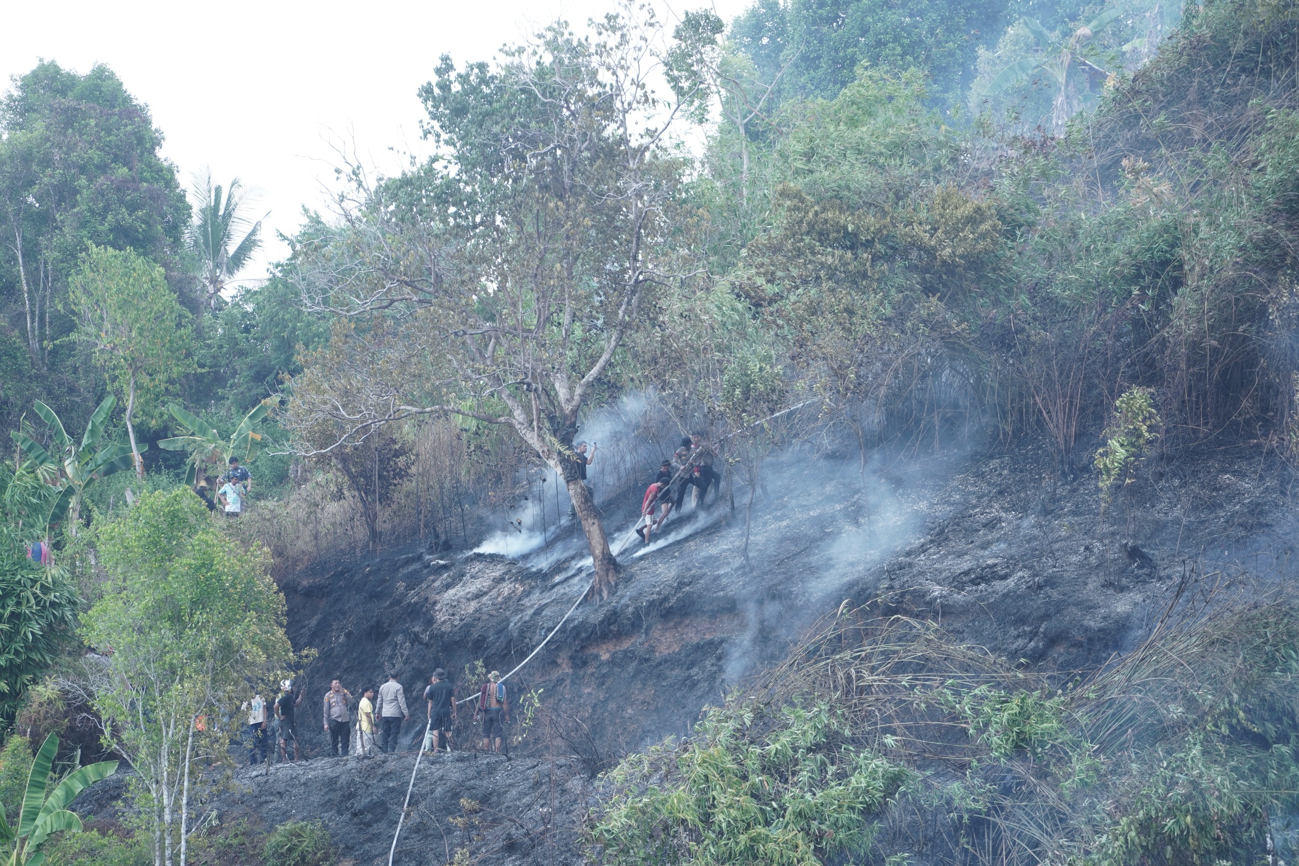 Polda Sulbar Gerak Cepat Padamkan Amukan Sijago Merah saat Kebun Warga di Bukit Kalubibing Terbakar