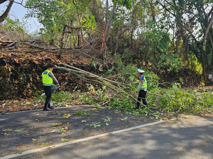 Hujan Disertai Angin, Ditlantas Polda Sulbar Evakuasi Pohon dan Tiang Lampu Tumbang