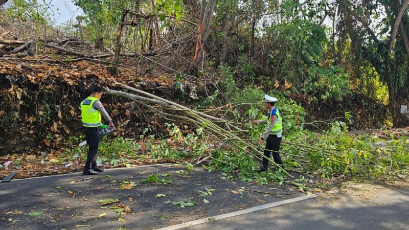 Hujan Disertai Angin, Ditlantas Polda Sulbar Evakuasi Pohon dan Tiang Lampu Tumbang