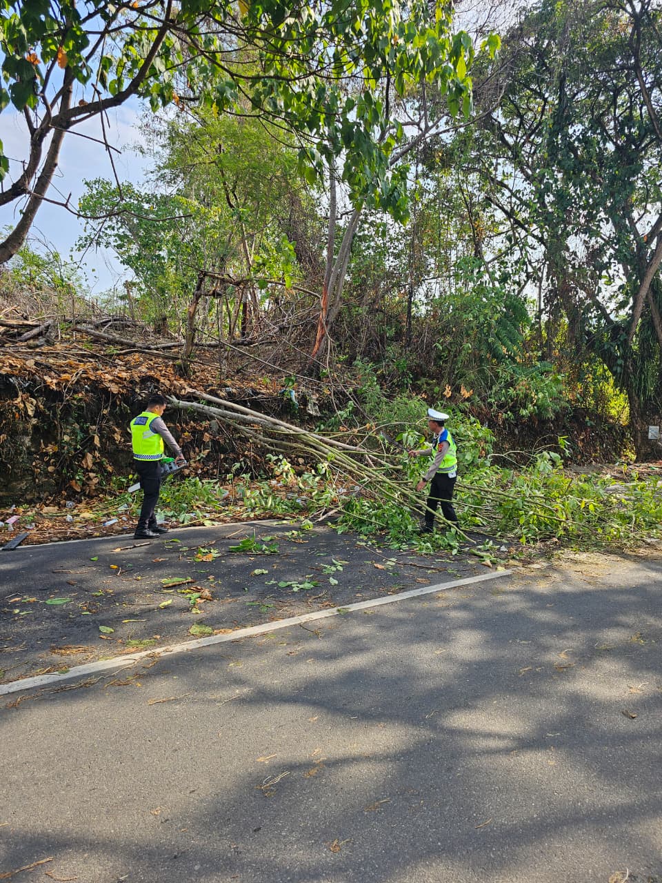 Hujan Disertai Angin, Ditlantas Polda Sulbar Evakuasi Pohon dan Tiang Lampu Tumbang